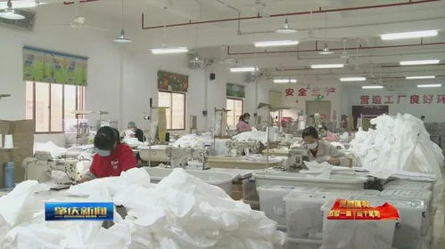 肇庆加快推进‘五位一体’总体布局，助力企业有效复工复产